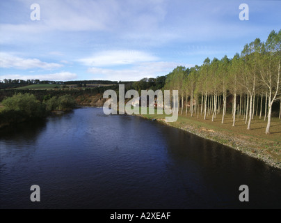 dh  RIVER TWEED BORDERS Anglers fishing from boat near river bank houses line of trees and farm Stock Photo