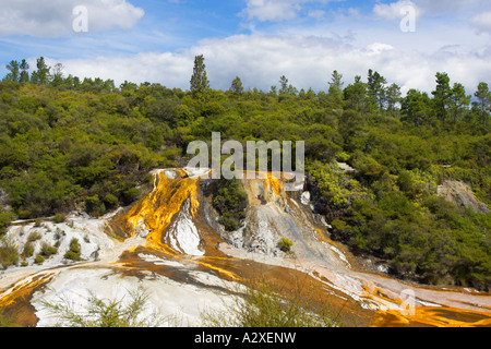 Orakei Korako near Rotorua in New Zealand Stock Photo