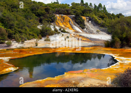 Orakei Korako near Rotorua in New Zealand Stock Photo