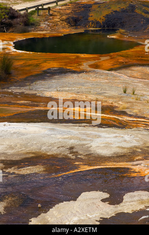 Orakei Korako near Rotorua in New Zealand Stock Photo