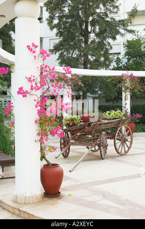 The resort courtyard decor of an old wooden wagon and bougainvillea flowers at the Jasmine Court Hotel in Girne, Cyprus Stock Photo