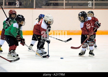 5 and 6 year old children learn how to play the game of ice hockey Stock Photo