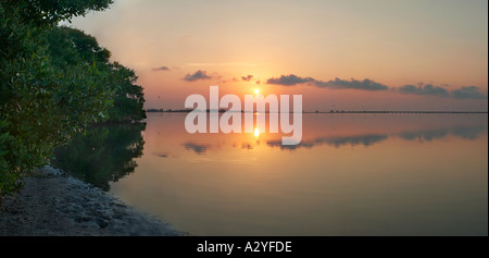 extra wide sunrise or sunset over water and mangroves Fort Desoto St Petersburg Florida USA Stock Photo