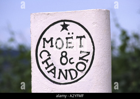 Moet et Chandon Vineyard France Stock Photo