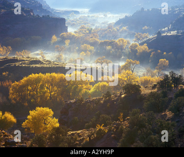 autumn morning mist over the Escalante River valley Stock Photo