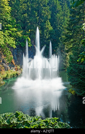 Image of the Ross Fountain surrounded by bright green trees and other green foliage in the Butchart Gardens BC Canada. Stock Photo