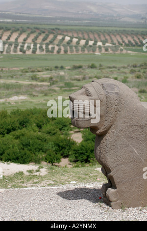 Ain Dara Dead City, Syria Stock Photo