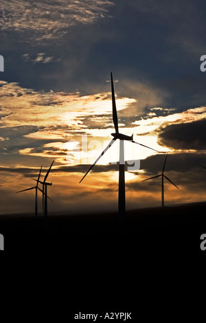 Wind power turbines at dawn, Farr Wind Farm, Inverness, Scotland UK Stock Photo