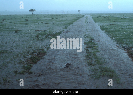 Grass plains and vehicle tracks flooded during a torrential downpour Masai Mara National Reserve Kenya East Africa Stock Photo