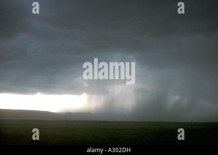 Grey storm clouds over the grass plains Masai Mara National Reserve Kenya East Africa Fingers of rain can be seen falling Stock Photo
