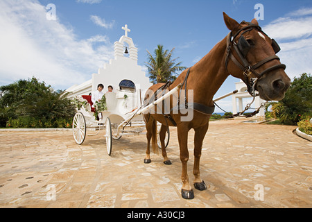 Newlyweds on horsedrawn carriage Stock Photo