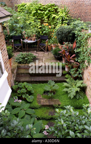 Pot plants and steps in walled courtyard of early 19th century London house Stock Photo