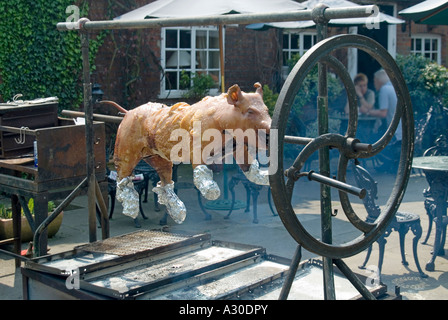 Pig carcass being roasted on traditional outdoor rotating spit in roadside forecourt at rural inn pub to be served as roast pork Essex England UK Stock Photo