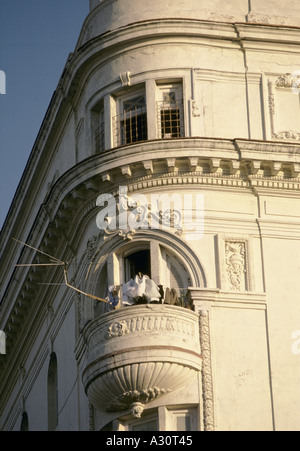 Laundry drying on washing line off a balcony on the corner of an white building with architectural relief detail, Havana, Cuba Stock Photo