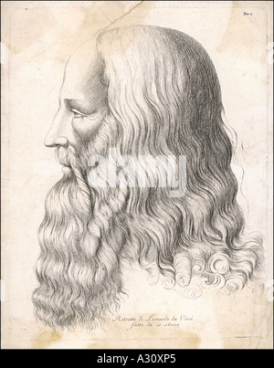 Da Vinci Self Profile Stock Photo