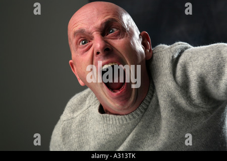 studio portrait of bald man screaming in agony Stock Photo