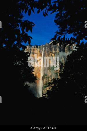 Angel Falls highest waterfall in world in Canaima National Park early morning light Auyantepui table mountain Venezuela Stock Photo