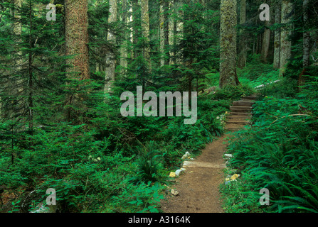 Trail to Big Greider Lake in the Cascade Mountain Range, Washington, USA Stock Photo