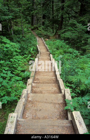 Trail to Big Greider Lake in the Cascade Mountain Range, Washington, USA Stock Photo