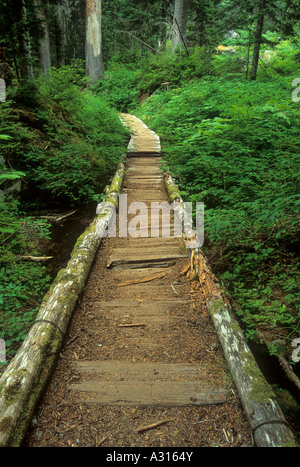 Trail to Big Greider Lake in the Cascade Mountain Range, Washington, USA Stock Photo