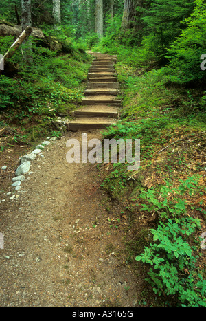 Trail to Big Greider Lake in the Cascade Mountain Range, Washington, USA Stock Photo