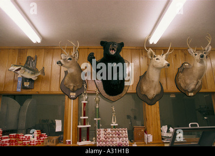 mississippi delta poaching general store with stuffed animal heads on wall Stock Photo