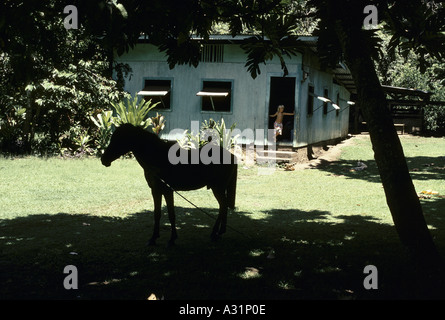 french polynesia omoa island marquise islands Stock Photo