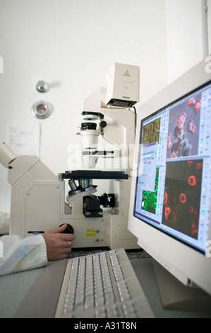 Technician using computer aided microscope in a laboratory Stock Photo