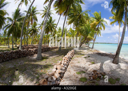 Copra plantation Takapoto Tuamotu Islands French Polynesia Stock Photo