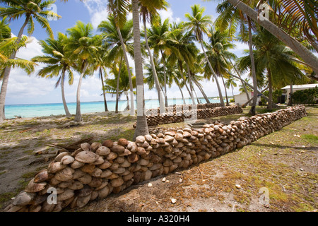 Copra plantation Takapoto Tuamotu Islands French Polynesia Stock Photo