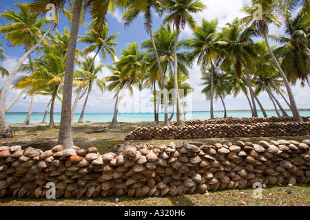 Copra plantation Takapoto Tuamotu Islands French Polynesia Stock Photo