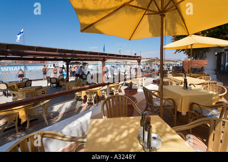 Harbourfront restaurant, Caleta de Fuste, Costa Caleta, Fuerteventura, Canary Islands, Spain Stock Photo