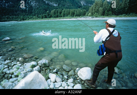 Flyfisherman playing summer run steelhead Dean river British Columbia Stock Photo