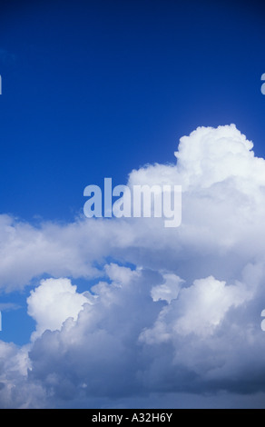 White and grey cumulus storm clouds gathering against clear blue sky Stock Photo