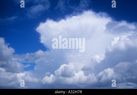 White and grey cumulus storm clouds gathering against clear blue sky Stock Photo