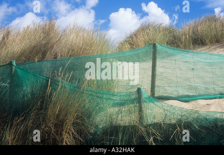 Green nylon netting and wire and sheep fencing with Marram grass or Ammophila arenaria on sand dunes with blue sky Stock Photo
