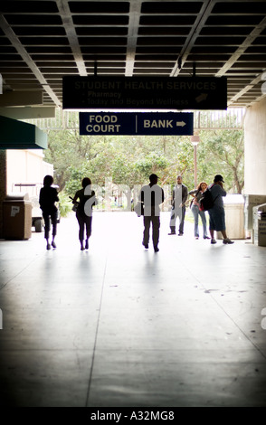 College University students learning education Stock Photo