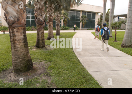 College University students learning education studying campus Stock Photo