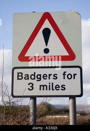 Badgers for 3 miles road sign Abergavenny Wales UK Stock Photo