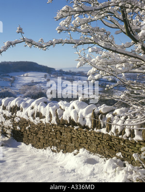 Haresfield Hill in the Cotswolds viewed from Edge, Gloucestershire in snow Stock Photo