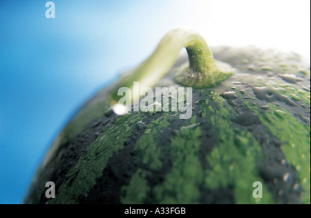 A waterdrop on the top of watermelon. Stock Photo