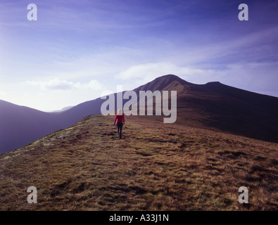 Woman walking to the summit of Pen-y-Fan, Brecon Beacons National Park ...