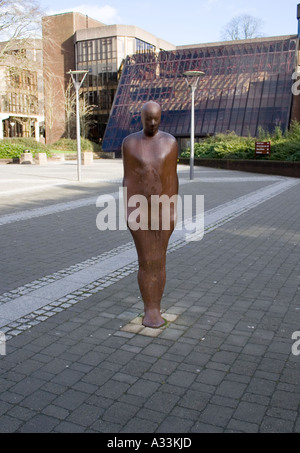 University of Limerick Campus Stock Photo