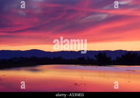 Colorful sunset over flooded rice fields in the Sacramento Valley of northern California. Stock Photo