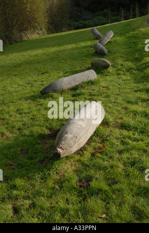 Sculpture Trail Lake Vyrnwy Mid Wales Stock Photo