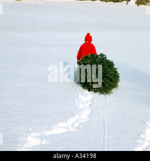 A child pulling a cut Christmas tree behind them in the snow Stock Photo