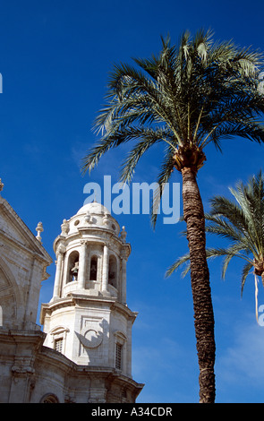 Bell tower of Cadiz Cathedral and palm tree, Plaza de la Catedral, Cadiz, Spain Stock Photo