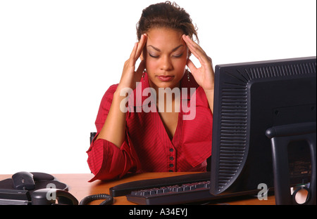beautiful female executive working on the computer Stock Photo