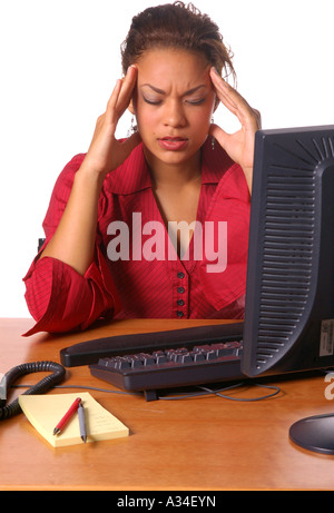 beautiful female executive working on the computer Stock Photo