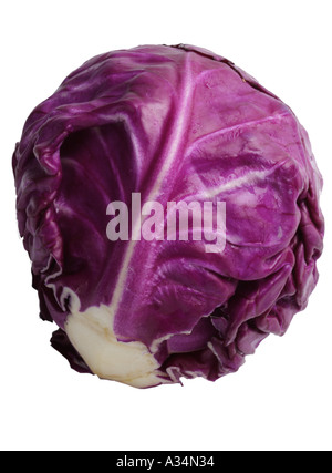 Cabbage Stock Photo